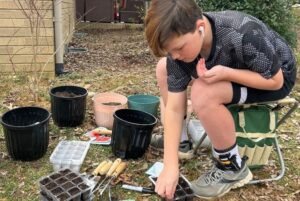 Boy planting